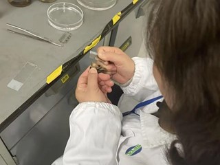 我中心参与市药检院药品检验技能培训